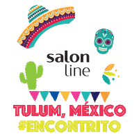 mexico mexicana Sticker by Salon Line