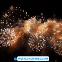 United States Celebration GIF by Damnjobs