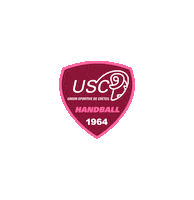 Us Creteil Rose Sticker by US Créteil Handball