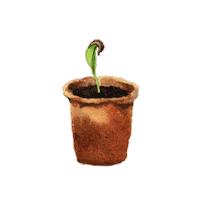 Trees-for-the-Future tree plant plants trees Sticker
