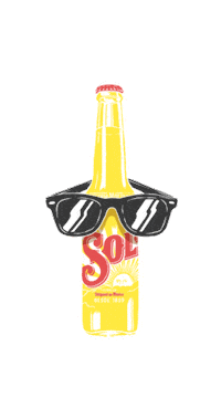 Sunglasses Sol Sticker by cervezasolchile