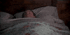 Bill Murray GIF by Filmin