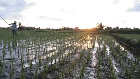 clima agriculture GIF