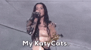 Katy Perry GIF by 2024 MTV Video Music Awards