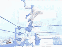 Royal Rumble Wrestling GIF by WWE