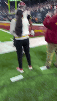 Baltimore Ravens Nfl GIF