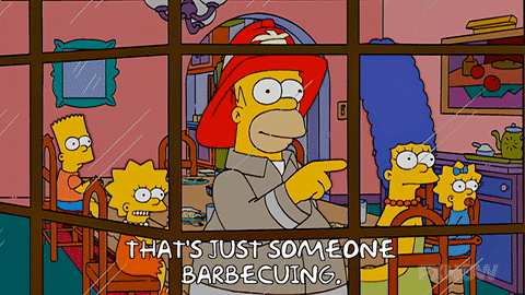 Lisa Simpson GIF by The Simpsons