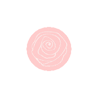 On Purpose Pink Sticker by Lane Of Roses
