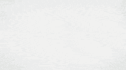Forest Wolves GIF by Xbox