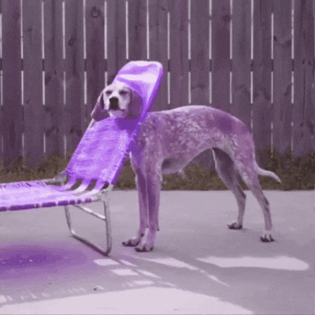 aleoxth giphygifmaker GIF
