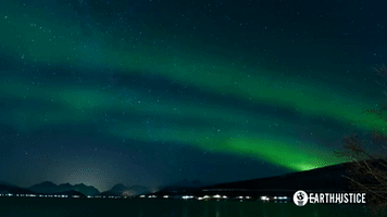 GIF by Earthjustice