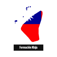 Taiwan Flag Sticker by Formación Ninja