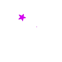Star Sticker