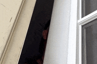 Pittsburgh Pa Please GIF by Mike Hitt