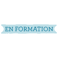 Immobilier Formation Sticker by Voisin Immo