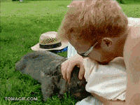 la es GIF