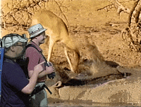 andy richter conan obrien GIF by Team Coco