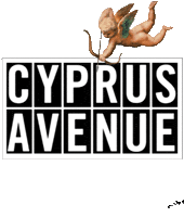 Cabelfast Sticker by Cyprus Avenue