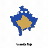 Flag Bandera GIF by Formación Ninja