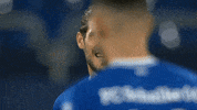 Sebastian Rudy Power GIF by FC Schalke 04