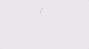 viceland GIF by Nuts + Bolts