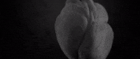 nuclear blast recordings GIF by Meshuggah