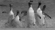 excited black and white GIF