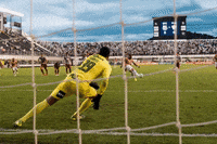 gol12500 GIF by Santos Futebol Clube