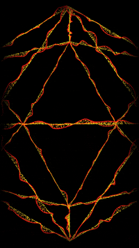 Render Digital Art GIF by time