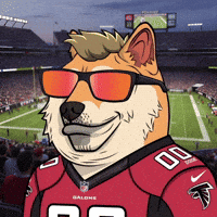 Atlanta Falcons Football GIF by Doge Pound