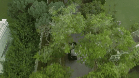 Clem2022film giphyupload GIF