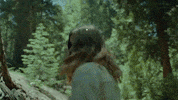 Venus Fly Trap GIF by Brakence