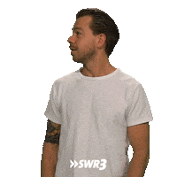 Shake No Sticker by SWR3