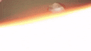 Celebration Goal GIF by FC Red Bull Salzburg
