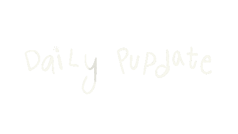 HeadstandsandHeels giphyupload dogs doglove pupdate Sticker