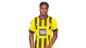 Happy Call Me Sticker by Bundesliga