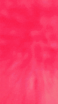 Hazbinhotel Hazbin GIF by Youtooz