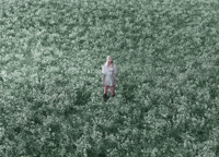 Blue Valentine GIF