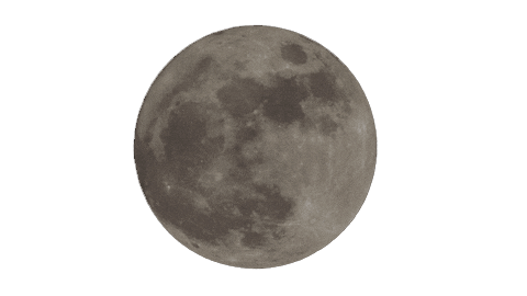 Sexy Lgbt Sticker by Skirt Club