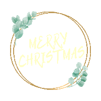 Merry Christmas Sticker by Social With Rashi