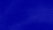 The Whole Truth GIF by Jeopardy!