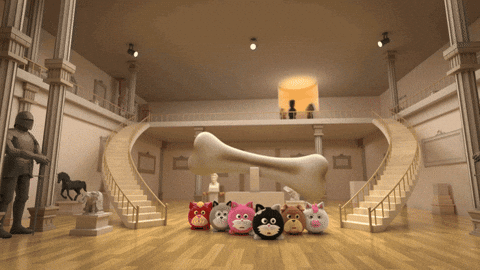 Angry Cat GIF by HangryPetz