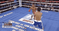 toprank fight sports sport boxing GIF