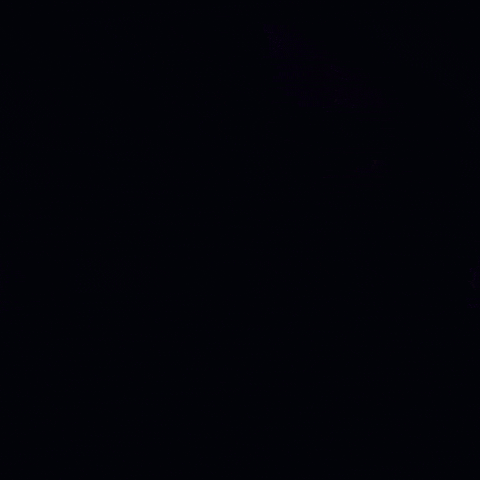 Facebook Thumb Up GIF by Squirrel Monkey