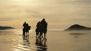 planet of the apes GIF by 20th Century Fox Home Entertainment