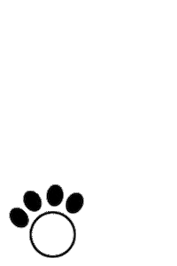 Bear Walking Sticker by Ki ET LA