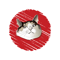 Cat Pet Sticker