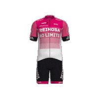 No Limits Equipacion Sticker by ReinosaNoLimits