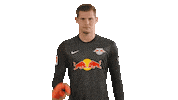 Not In My House Goalkeeper Sticker by RB Leipzig