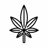 Flower Weed GIF by diamondrehabthailand